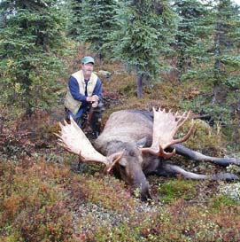 moose hunting in Alaska